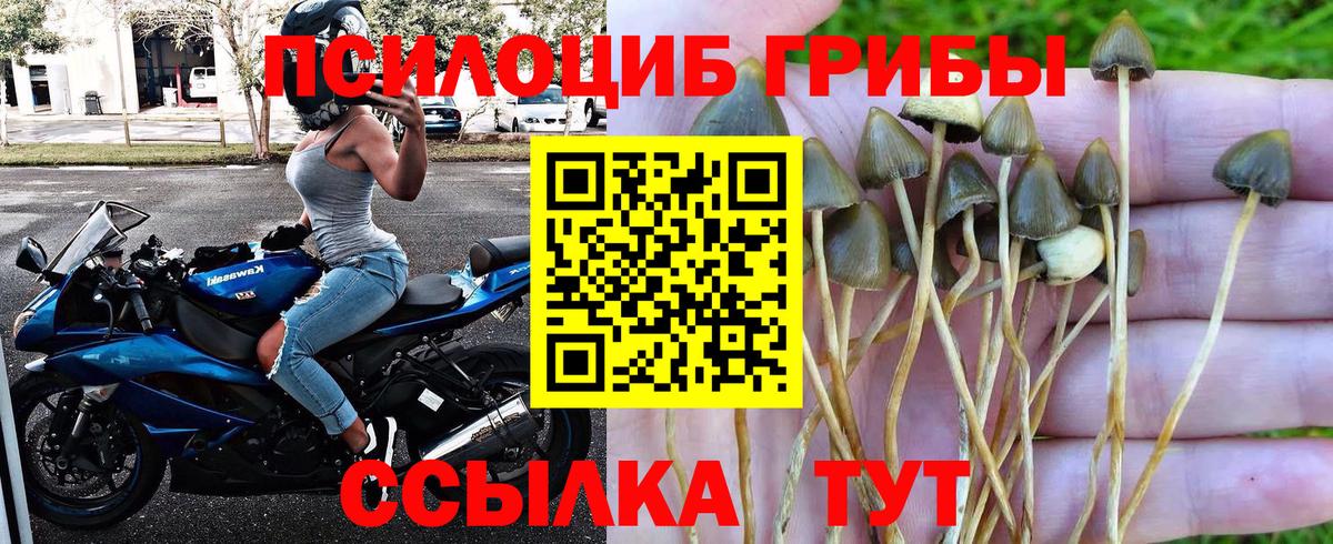 Псилоцибиновые грибы мухоморы Нижний Тагил